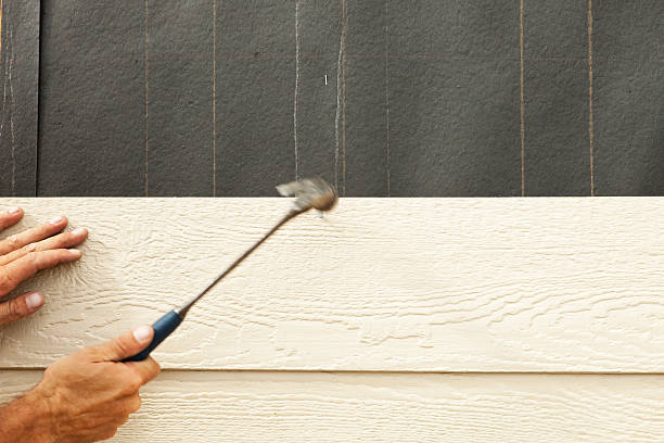 Best Aluminum Siding Installation  in La Luz, NM